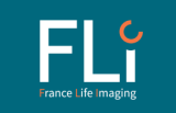 Logo FLI